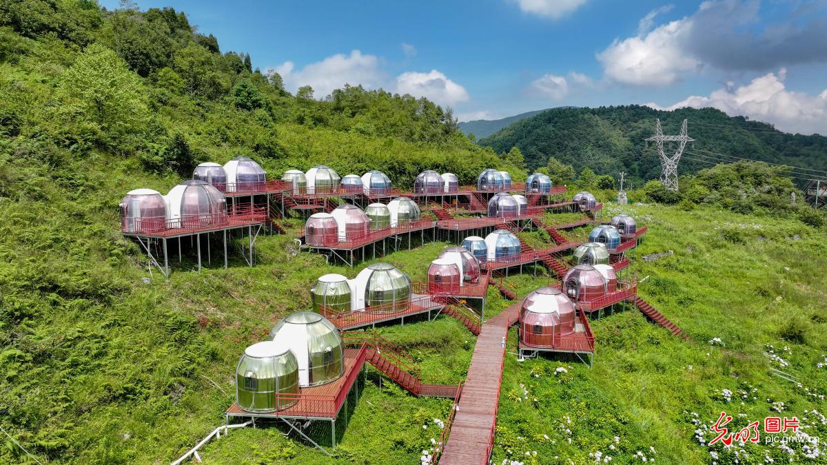 民宿经济助力旅游高质量发展