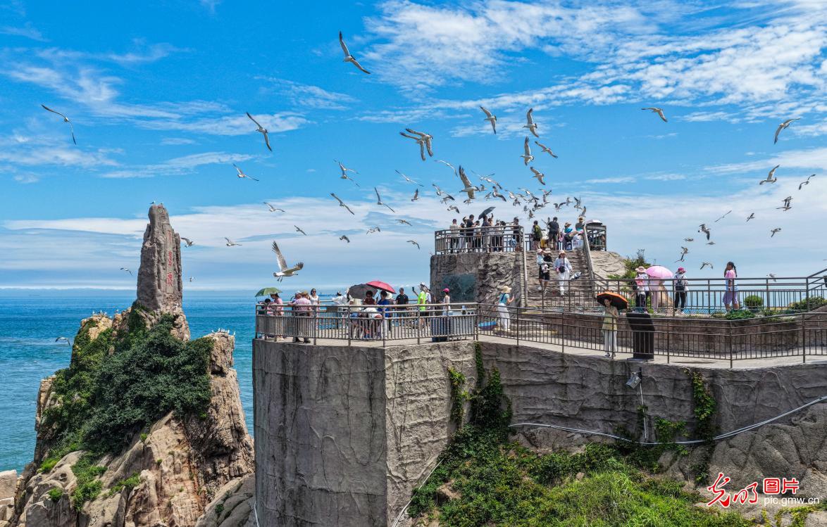 海岸风光引游人