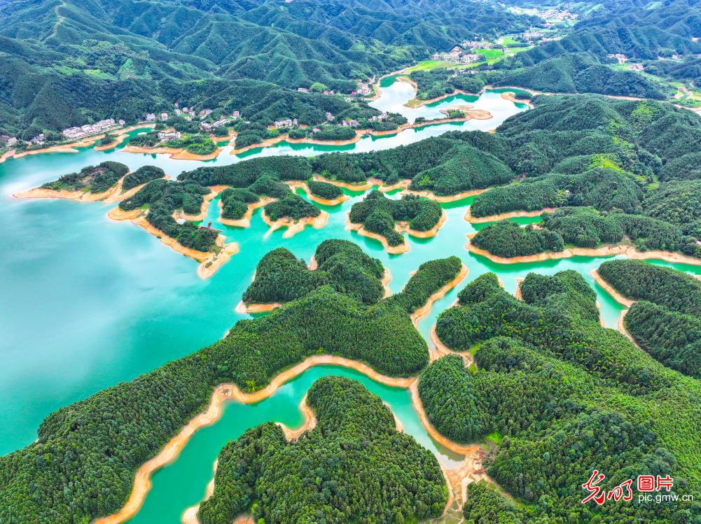 碧水绿岛绘就和美乡村