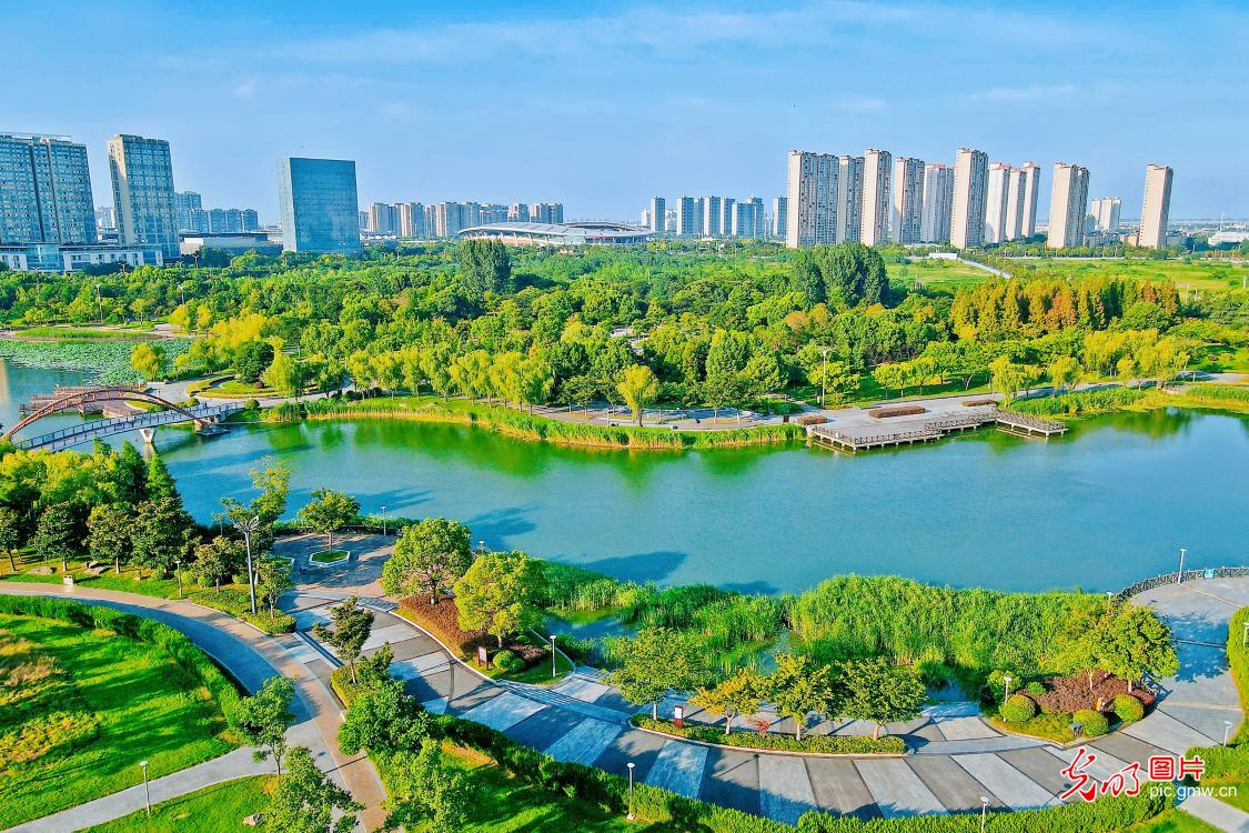 碧水林荫勾勒城市风光
