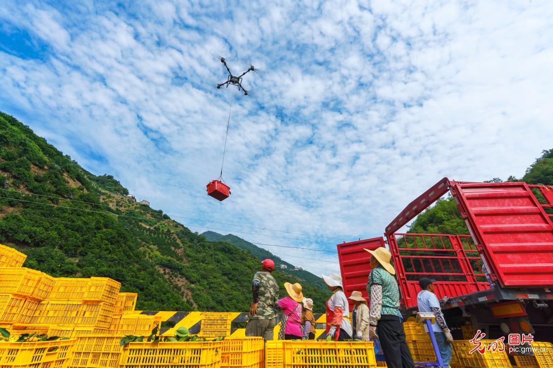 8月3日-8月9日光明图片一周见报作品精选
