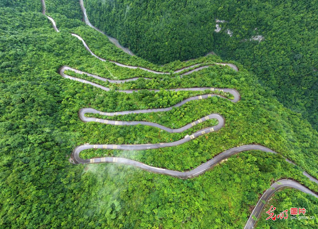 蜿蜒山路打通乡村振兴脉络 蜿蜒山路打通乡村振兴脉络