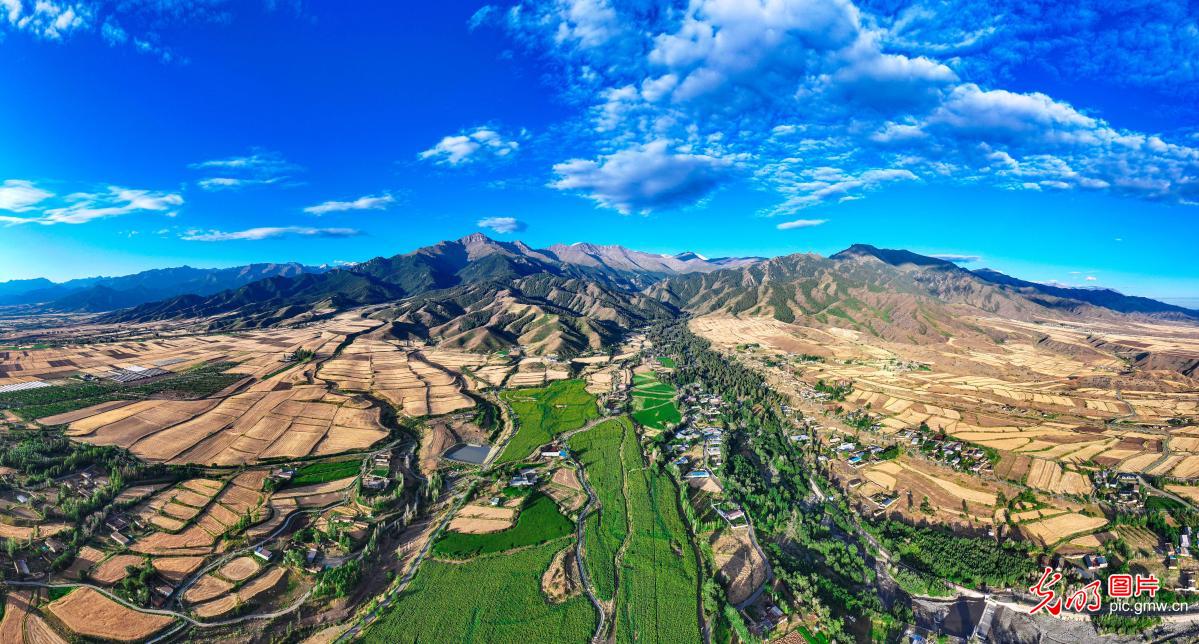 万亩旱田绘锦绣 山野处处好风光