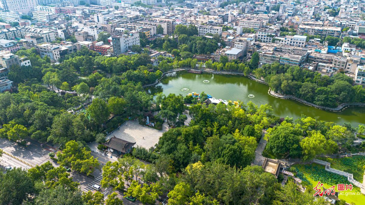 城市公园 绿意盎然