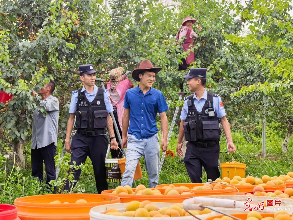 听民声 唠家常 话安防 听民声 唠家常 话安防