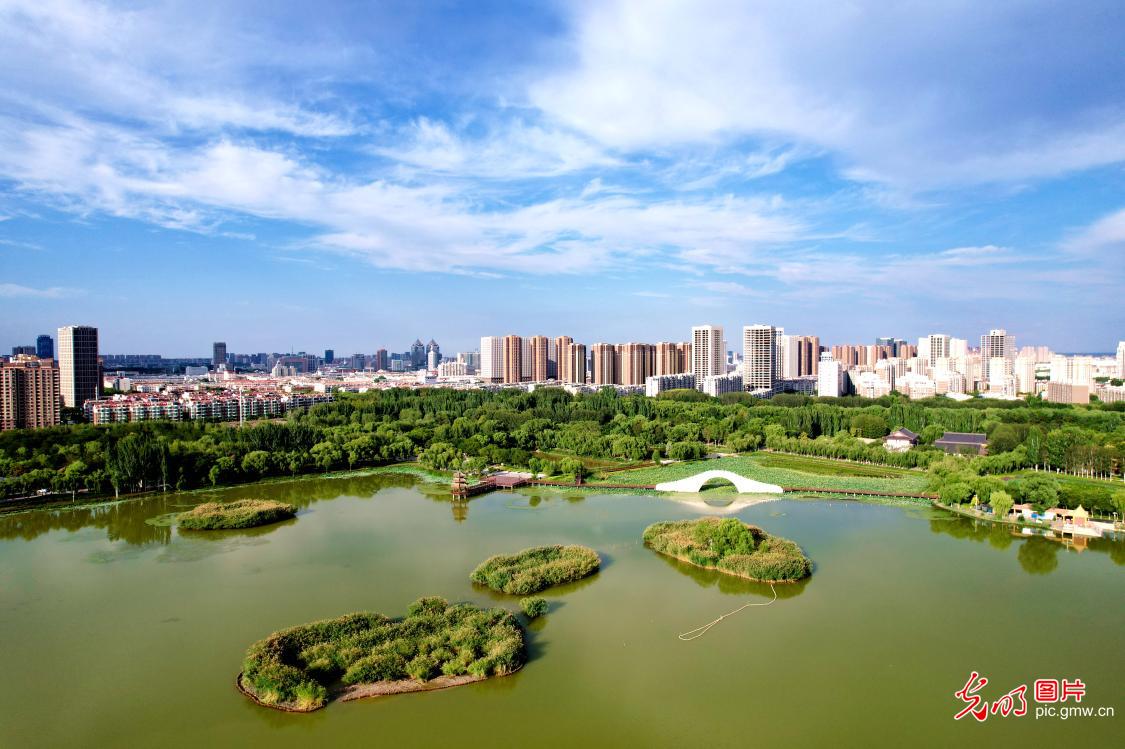 塞上湖城绿意浓