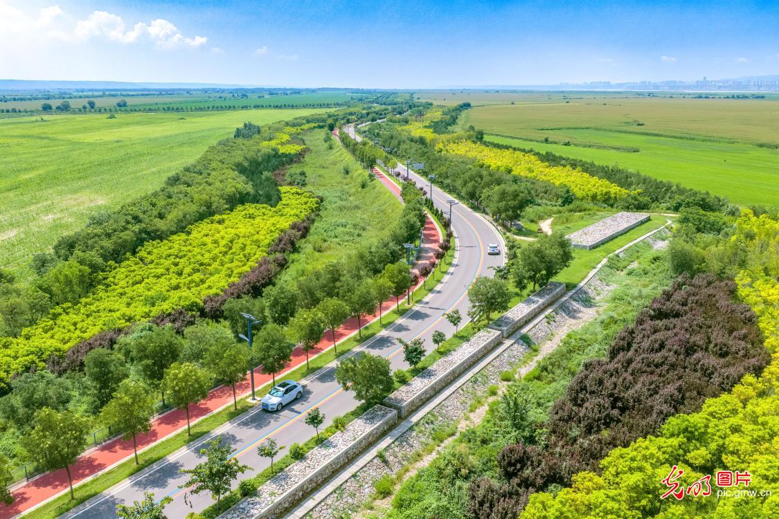 路景相融入画来
