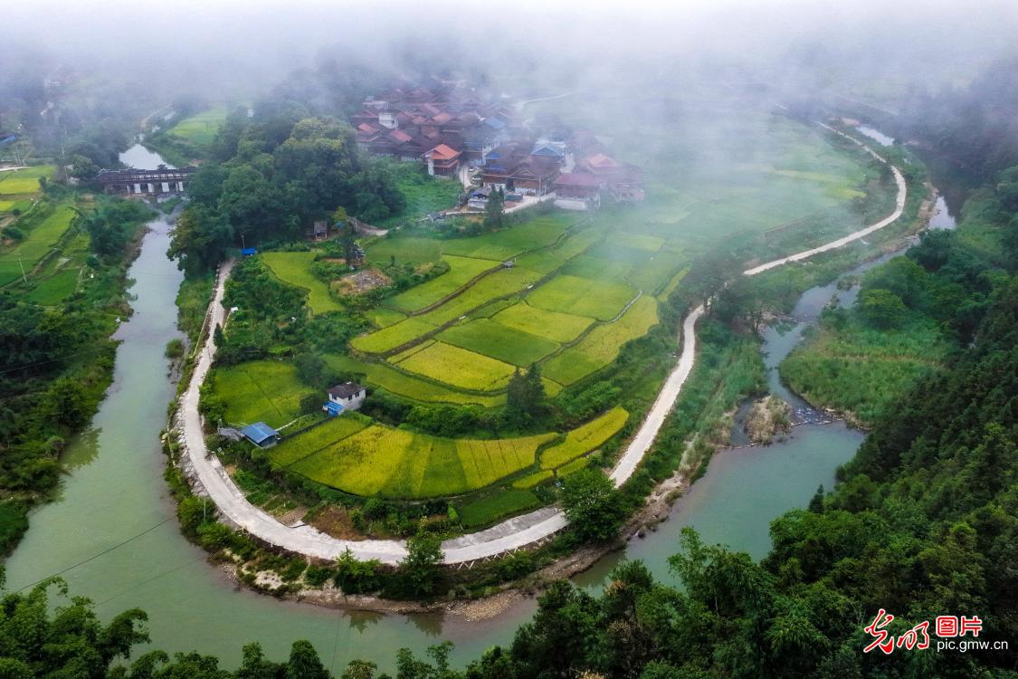 深山秋日丰收美景