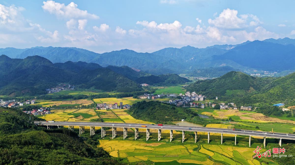 乡村如画