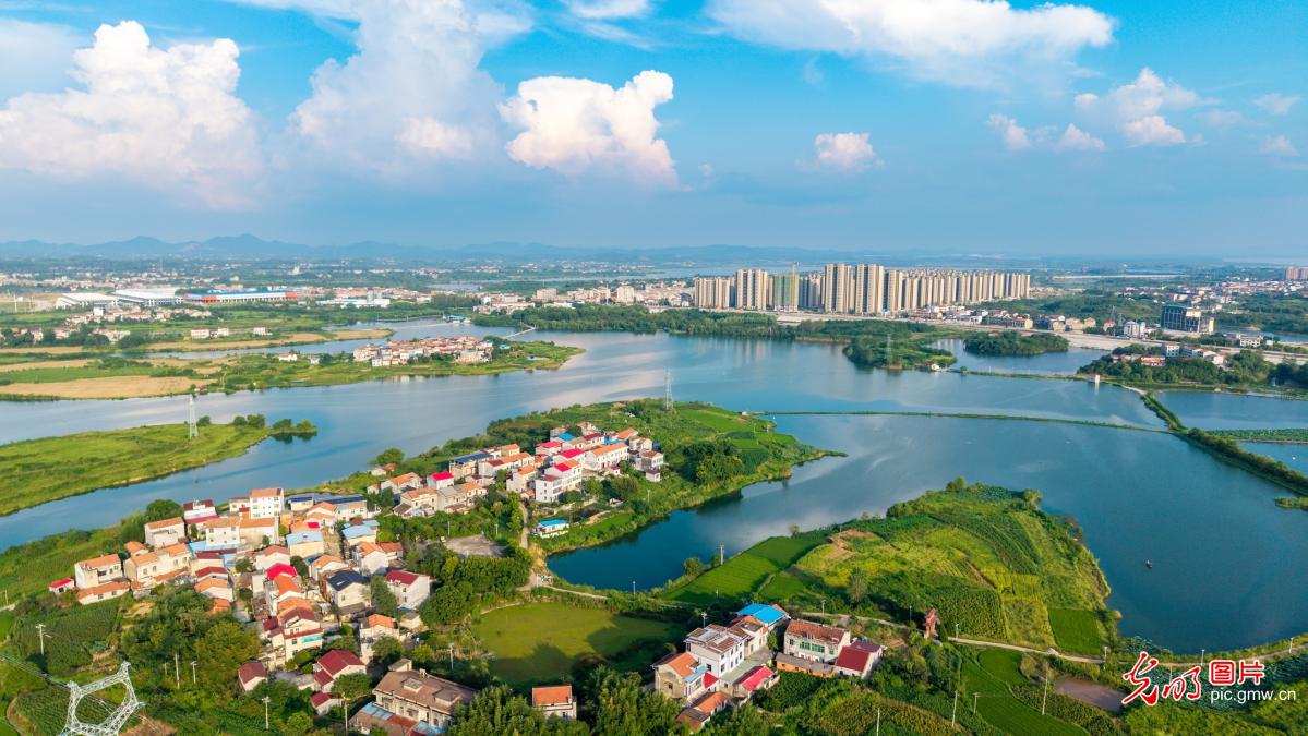 秀美水乡