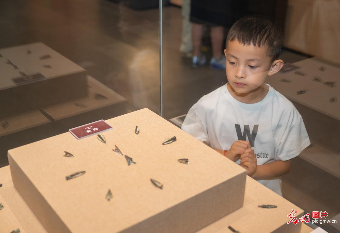 8月17日-8月23日光明图片一周见报作品精选 8月17日-8月23日光明图片一周见报作品精选