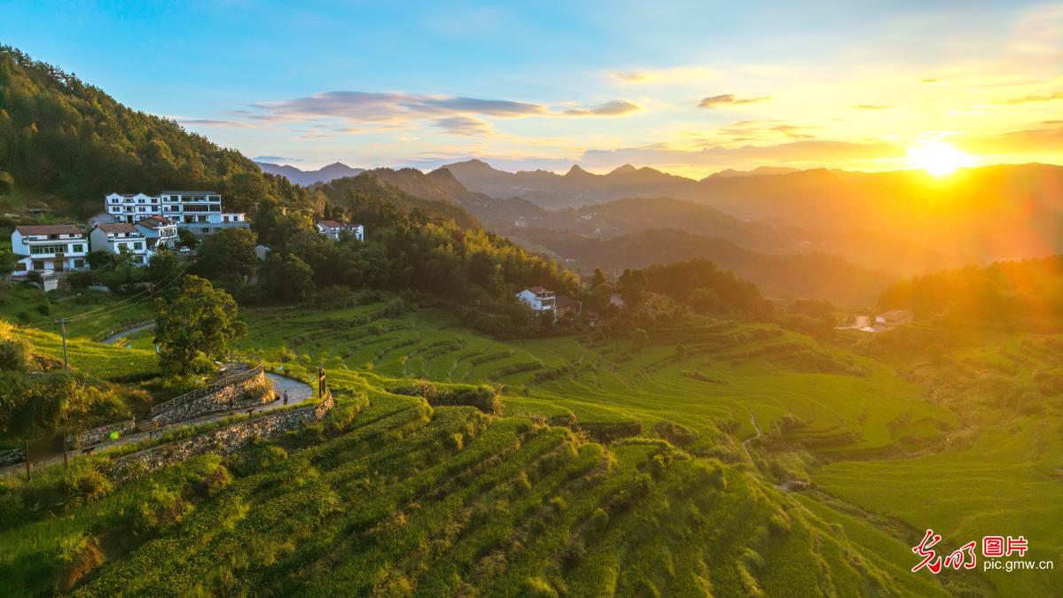 青山伴梯田 山野绘丰景