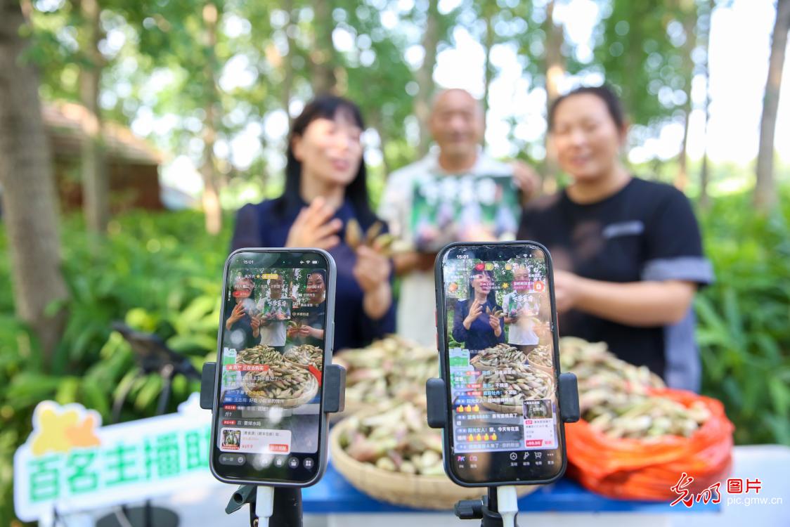 小小直播间 撑起乡村大丰收 小小直播间 撑起乡村大丰收