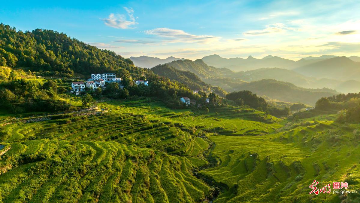 青山伴梯田 山野绘丰景