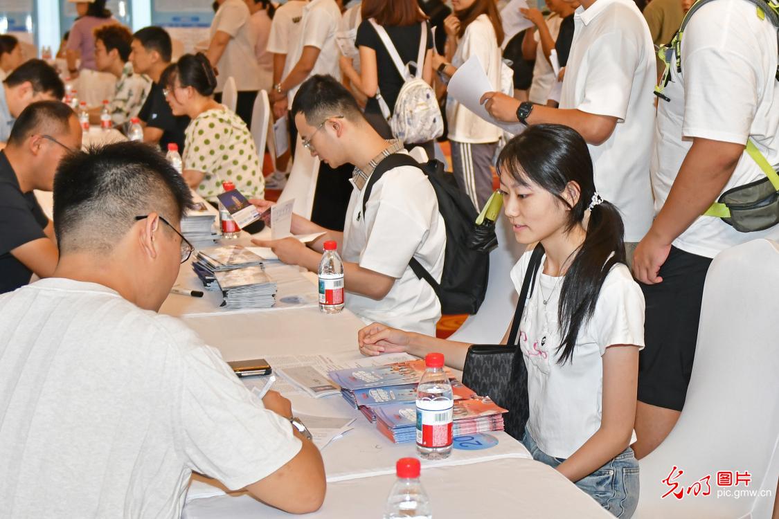 线上线下齐发力 就业服务直达群众家门口 线上线下齐发力 就业服务直达群众家门口