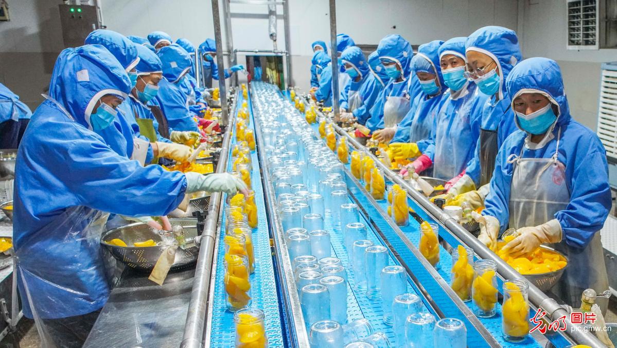 果品深加工为果农分忧