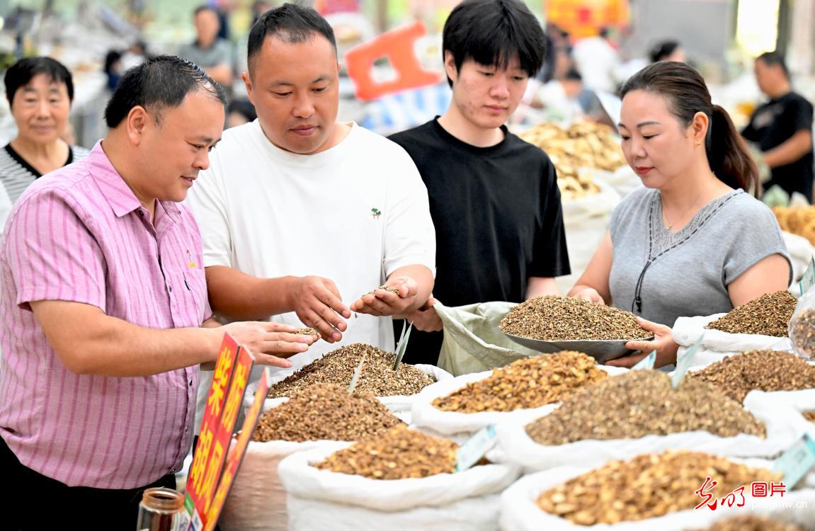 本草聚亳州 药贸兴产业