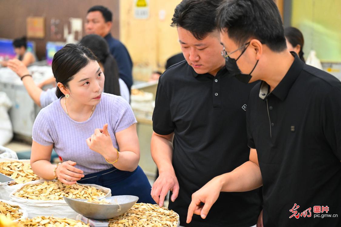 本草聚亳州 药贸兴产业