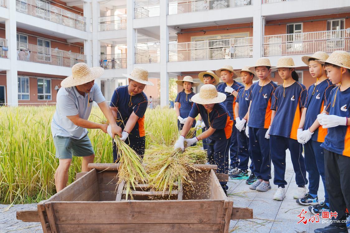 校园里的田间课堂