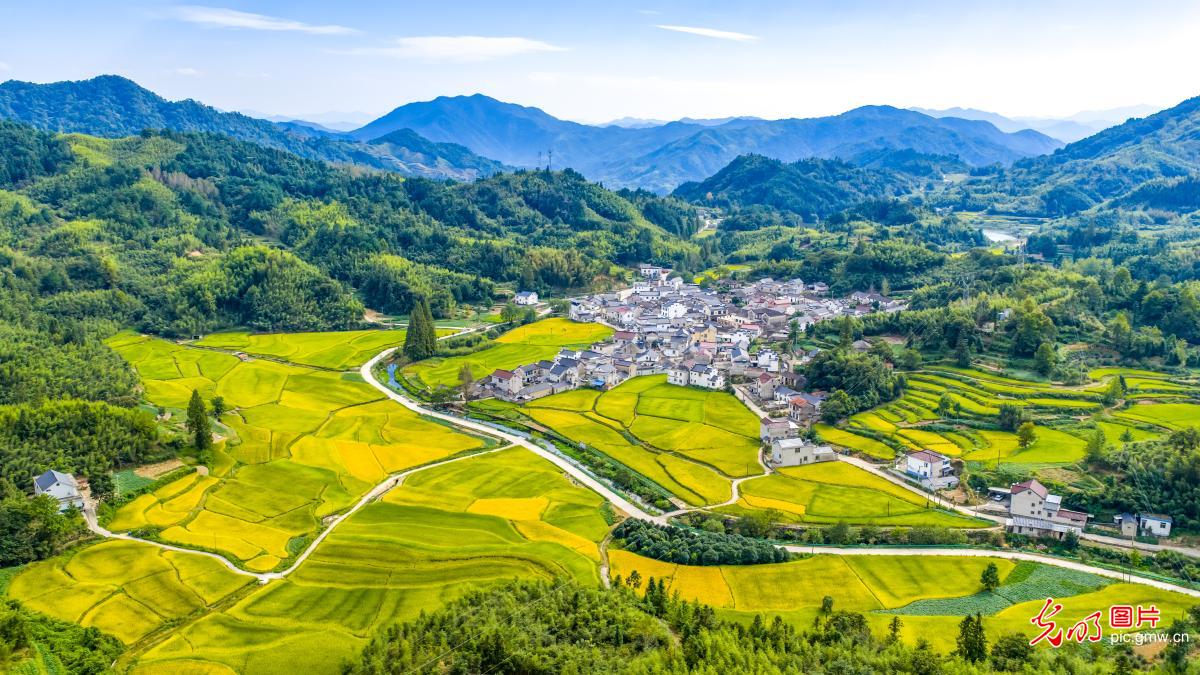 秋日乡村 丰收画卷