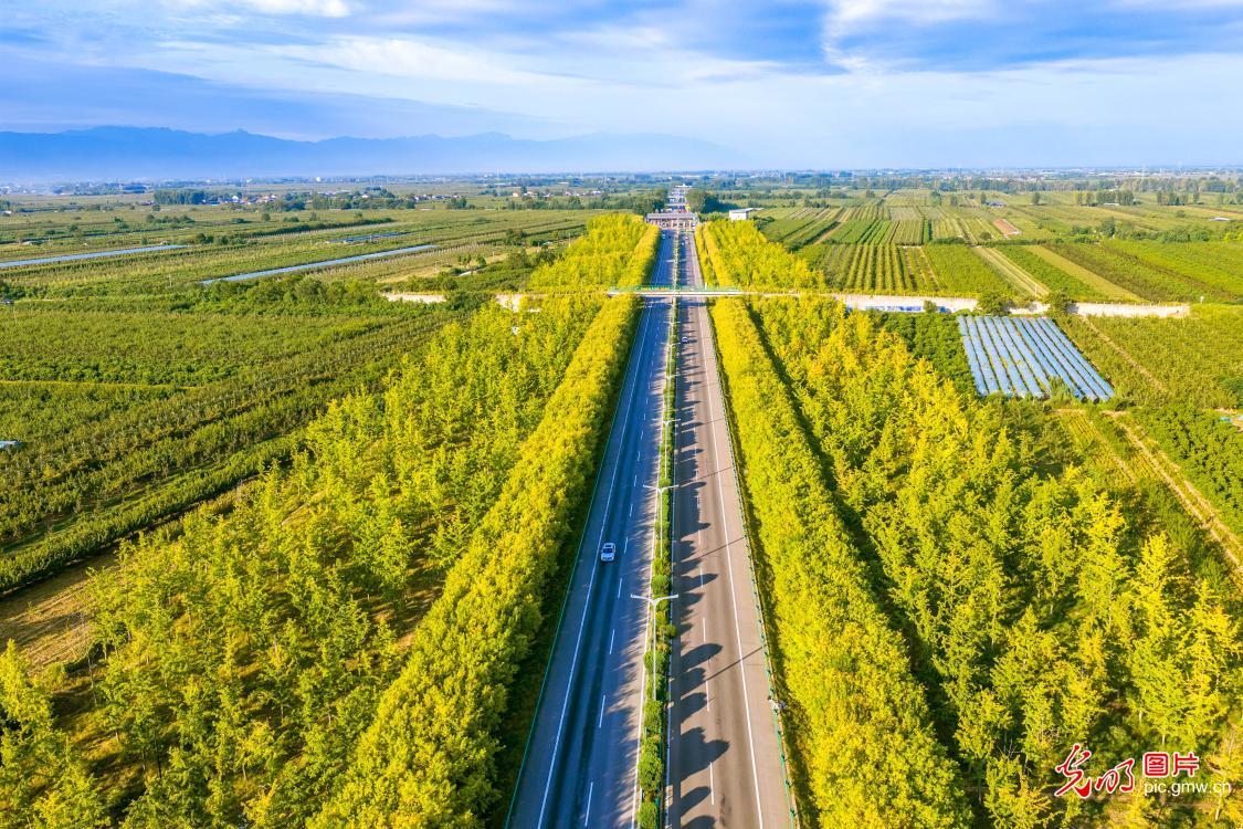 层林染秋色 公路揽风光