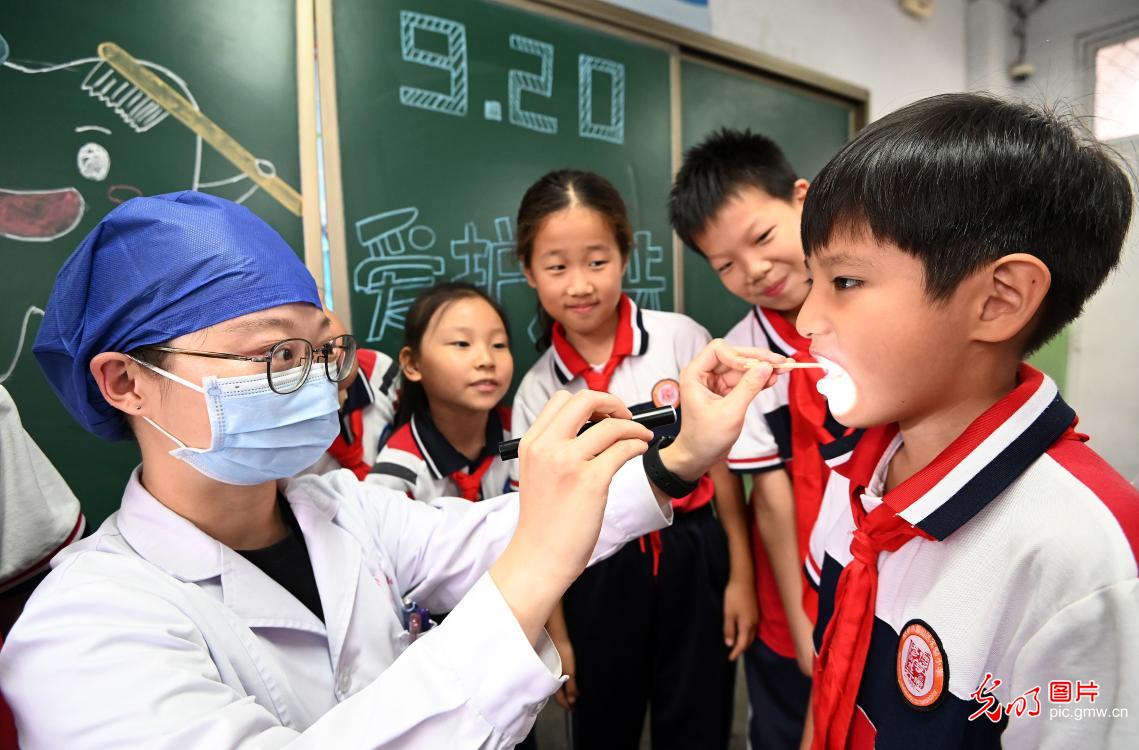 守护齿间健康 点亮生活笑容 守护齿间健康 点亮生活笑容