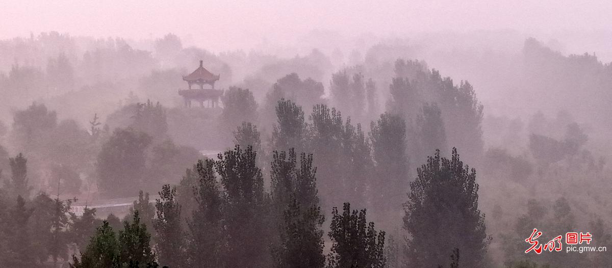 晨雾漫黄河 烟光入画屏