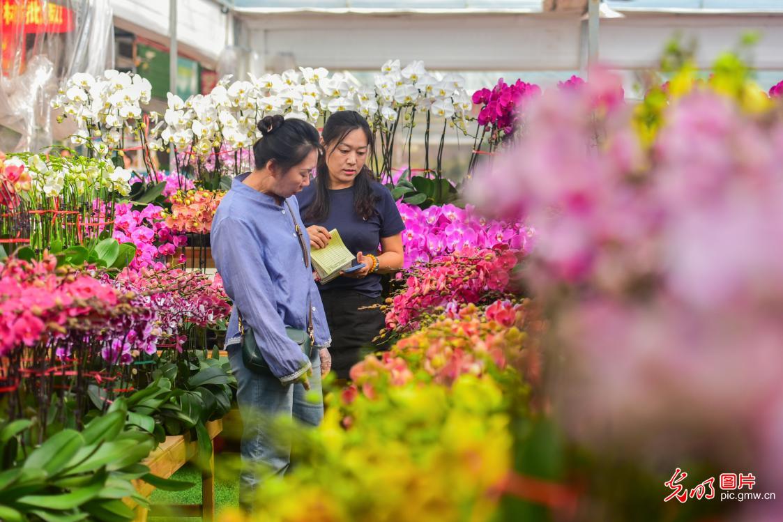 “双节”临近 花卉热销