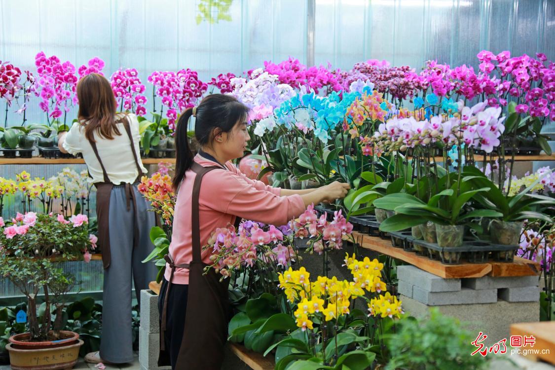 “双节”临近 花卉热销