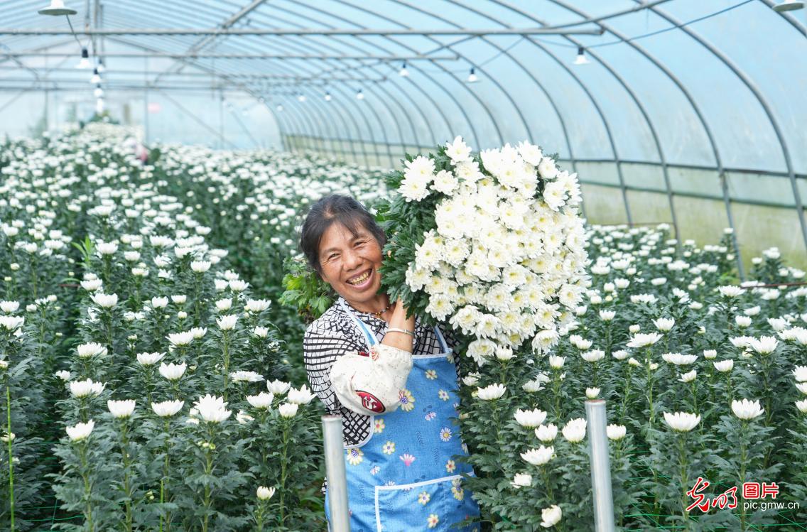 “双节”临近 花卉热销