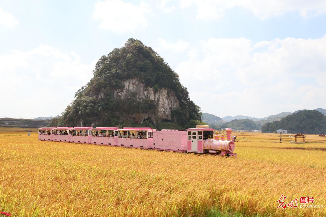 田园作画 农旅两相宜 田园作画 农旅两相宜