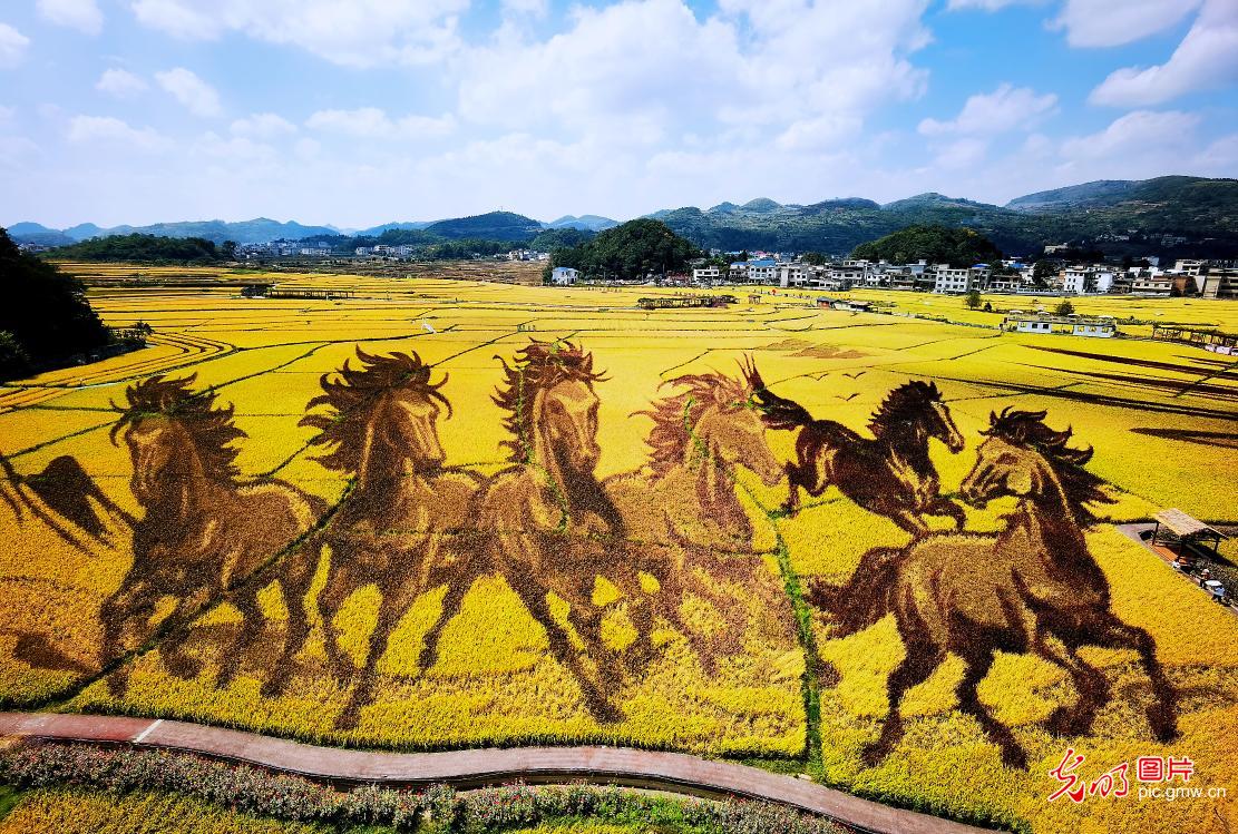 田园作画 农旅两相宜 田园作画 农旅两相宜