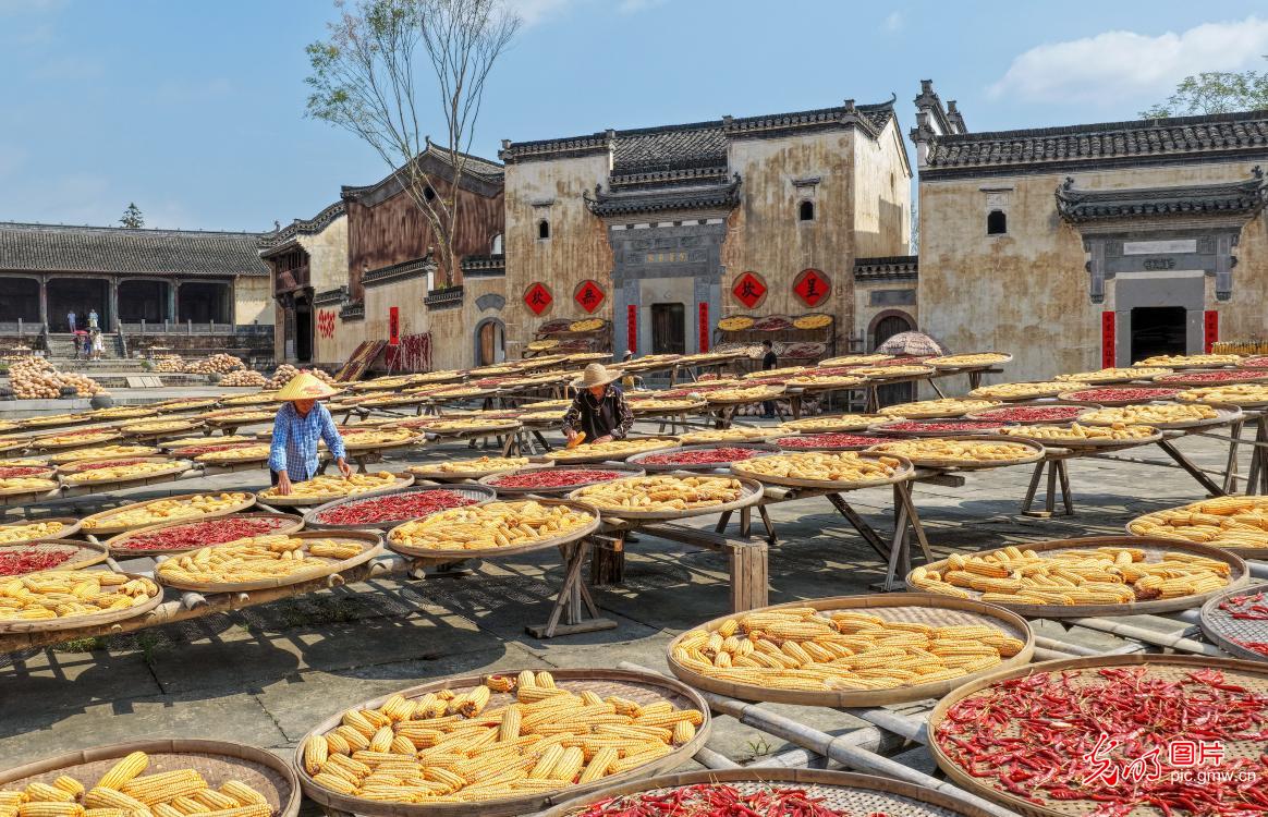 9月21日-9月27日光明图片一周见报作品精选