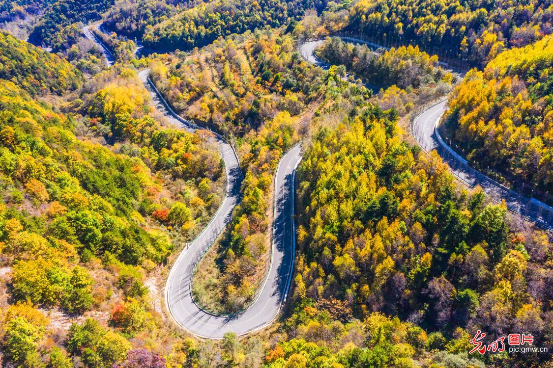 太行公路秋意浓