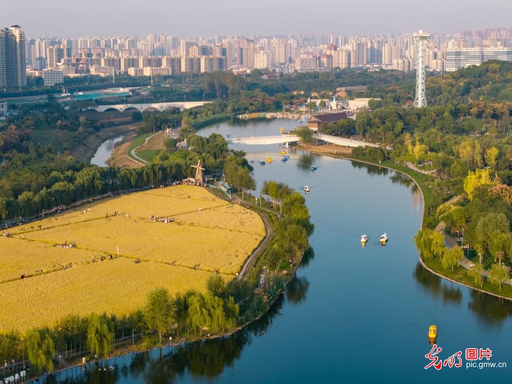 10月5日-10月11日光明图片一周见报作品精选