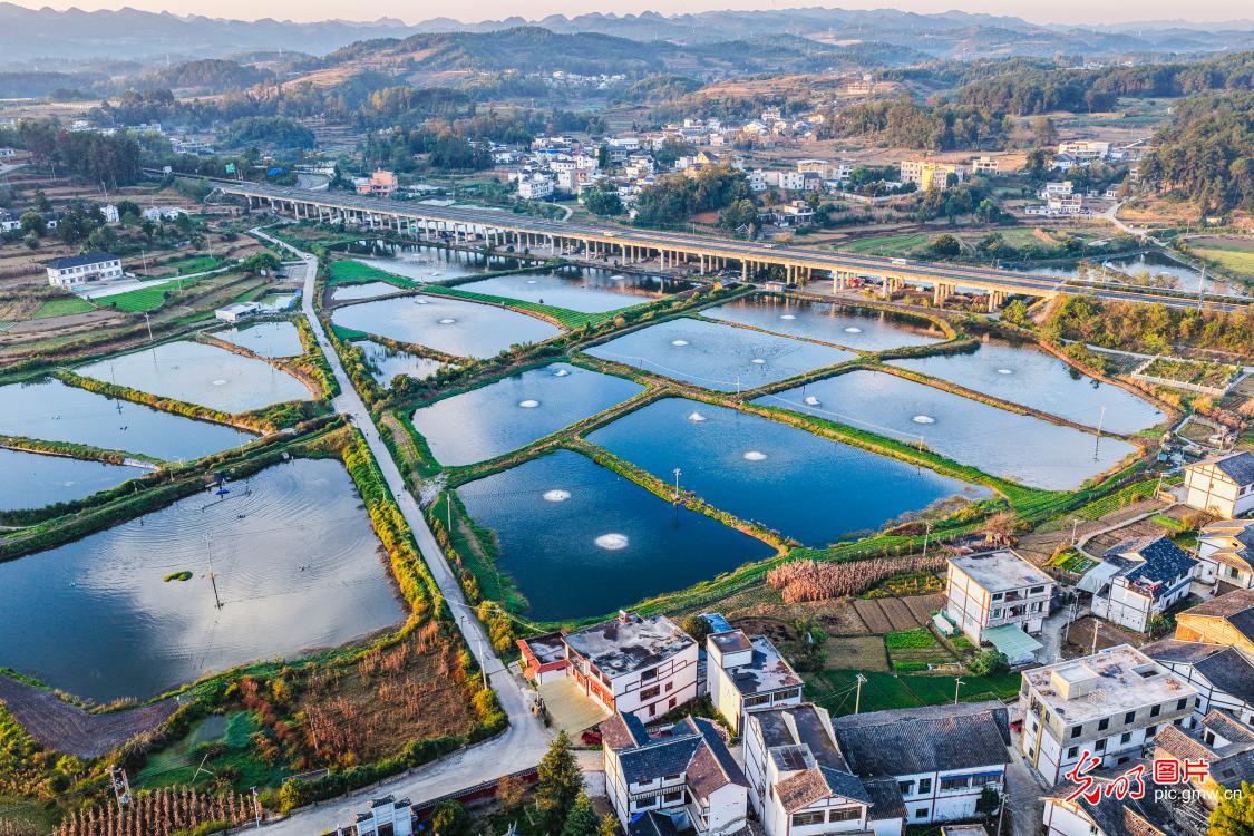 塘田阡陌 绘就乡村振兴新画卷