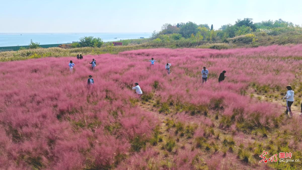 大江南北秋意浓 文旅融合动能足