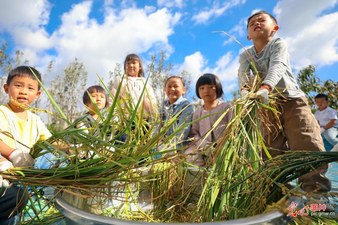 世界粮食日丨爱粮惜粮 从小做起 世界粮食日丨爱粮惜粮 从小做起