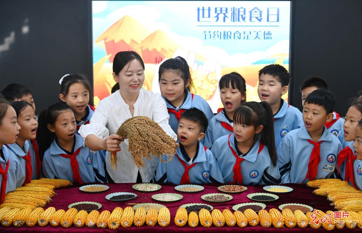 世界粮食日丨爱粮惜粮 从小做起 世界粮食日丨爱粮惜粮 从小做起