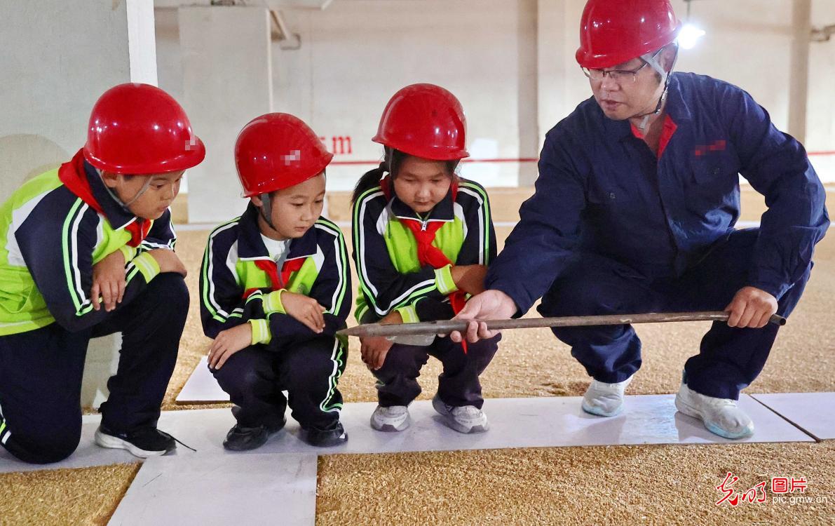 世界粮食日丨爱粮惜粮 从小做起 世界粮食日丨爱粮惜粮 从小做起