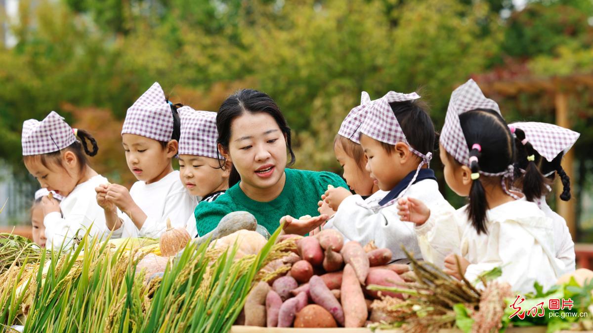 世界粮食日丨爱粮惜粮 从小做起 世界粮食日丨爱粮惜粮 从小做起