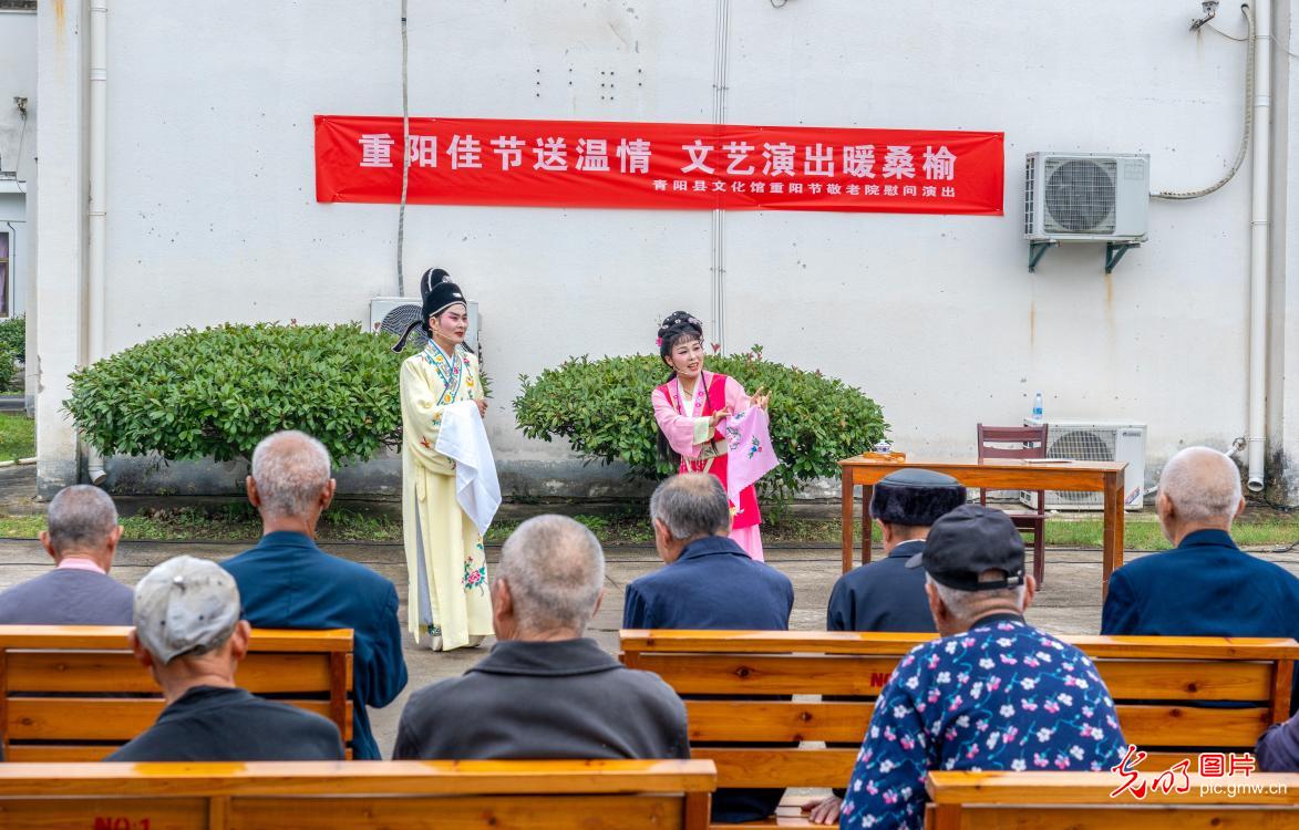 情暖九九重阳 多彩活动传递敬老温情 情暖九九重阳 多彩活动传递敬老温情