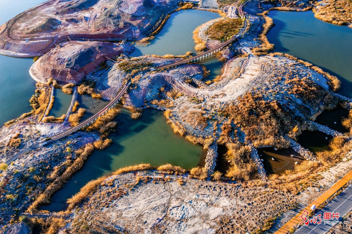 彩林映湖岸 佳景入画卷