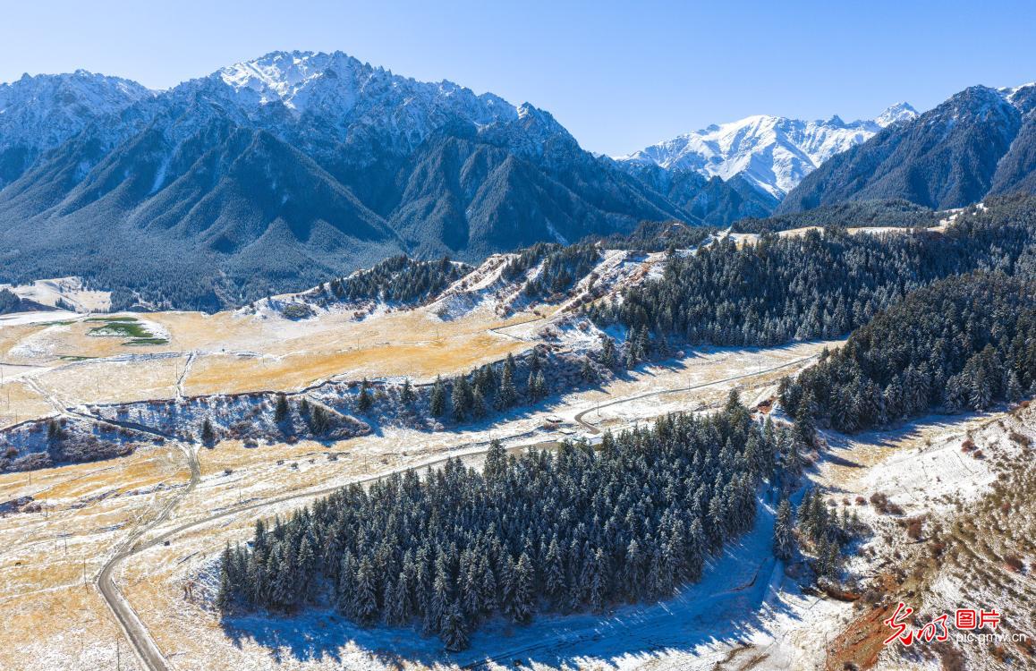 初雪落祁连 层峦披银装