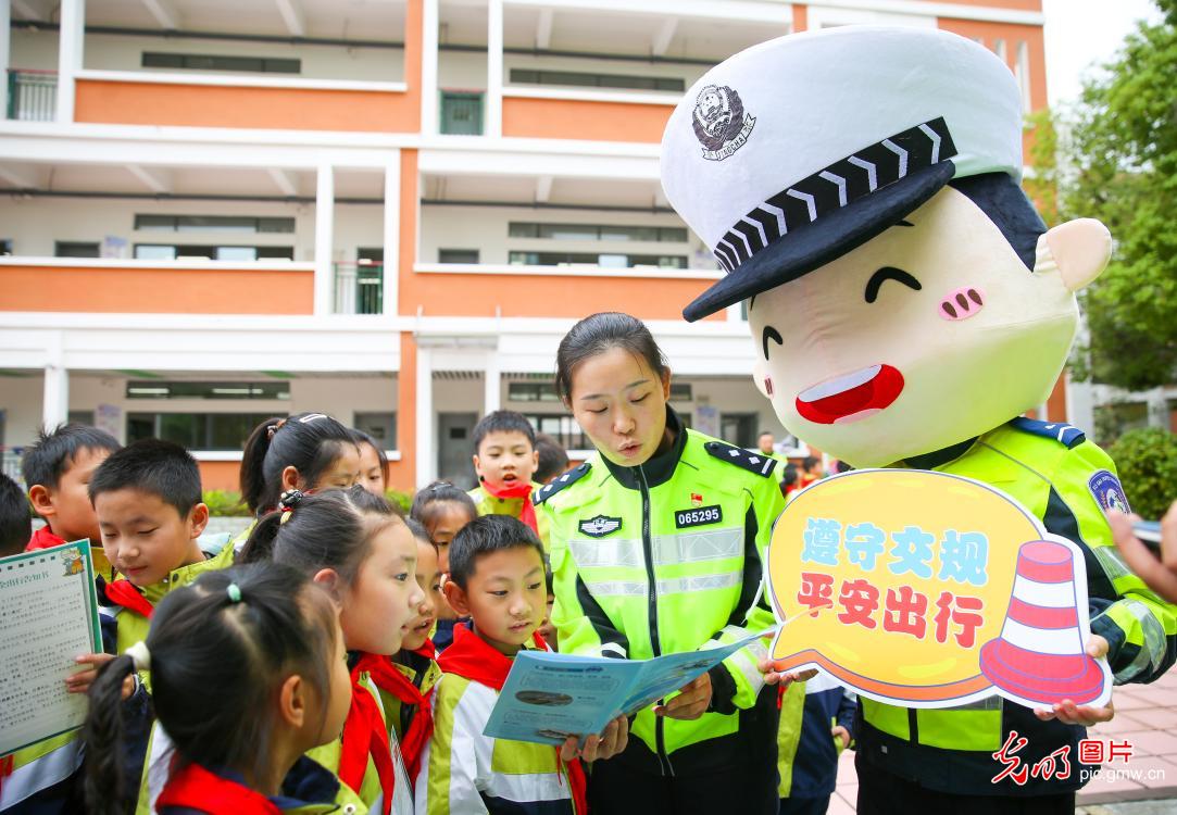 趣味课堂学交规