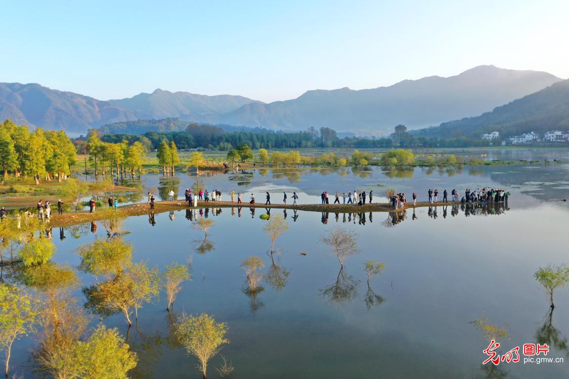 奇墅湖晨景如画