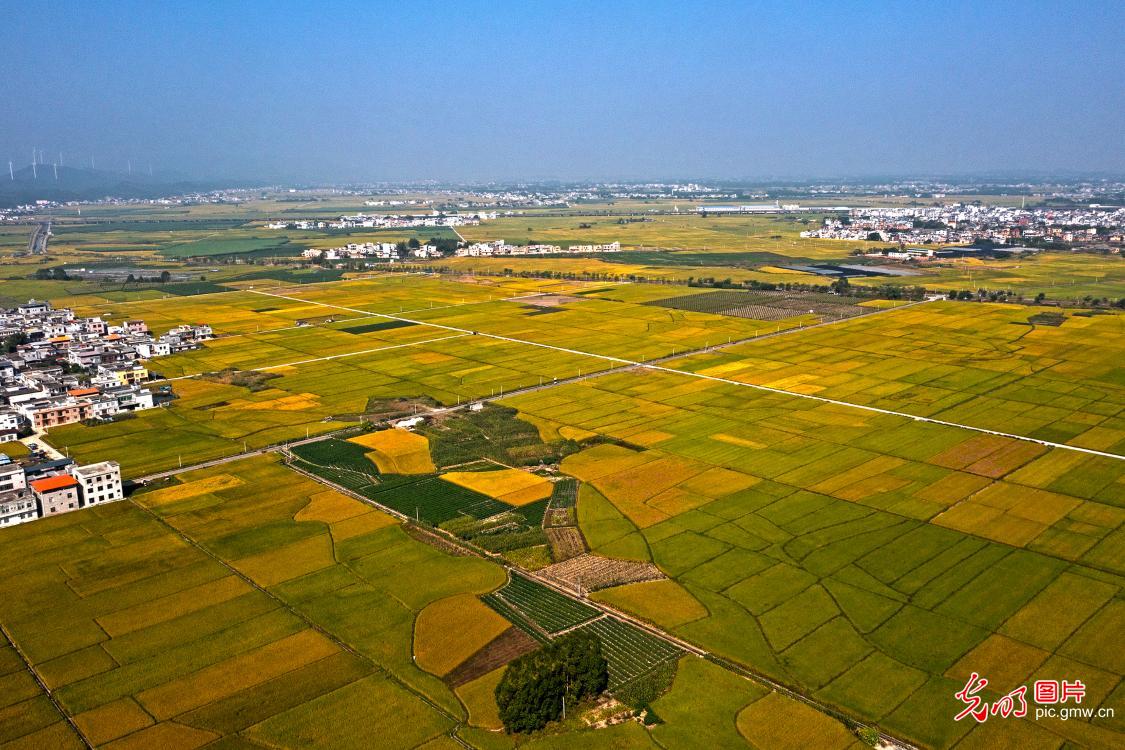 田园秋景如画