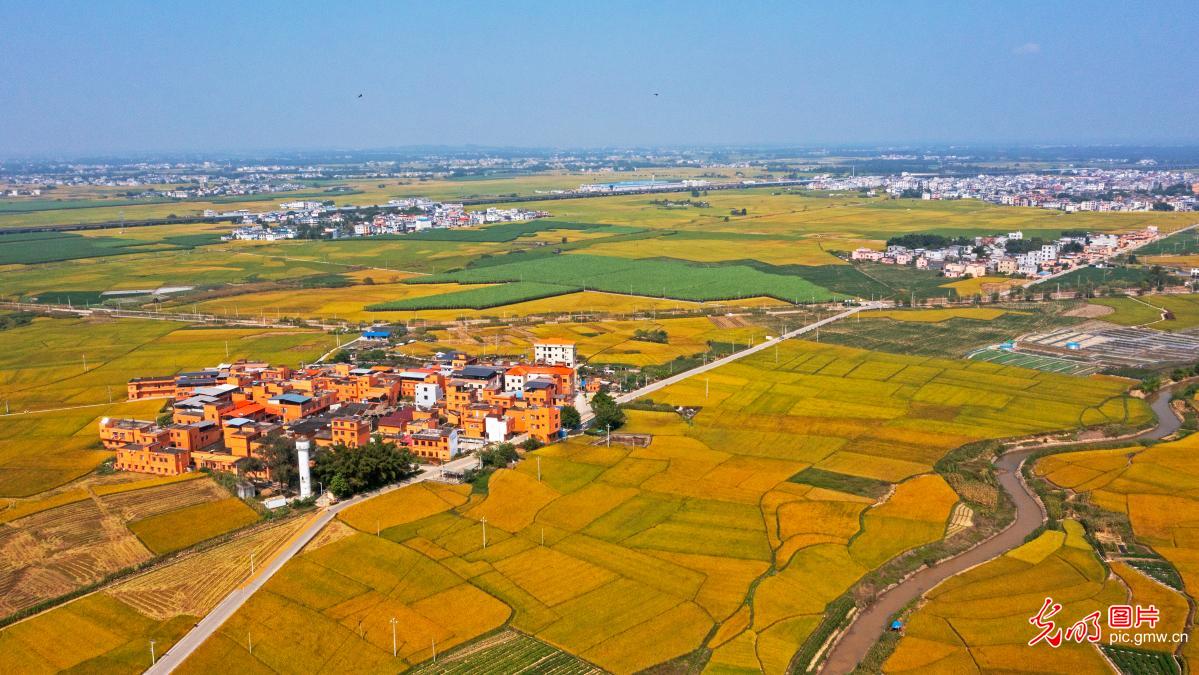 田园秋景如画