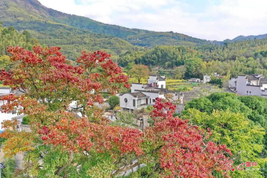 塔川秋色渐浓