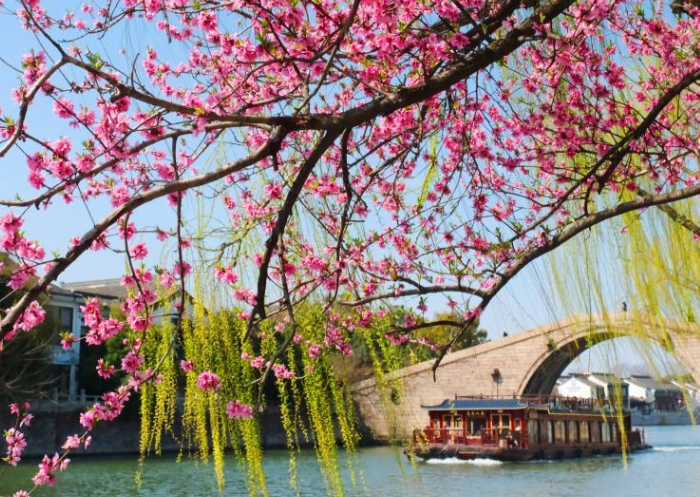 古运河水清岸绿春意浓